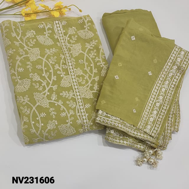 CODE NV231606 : Designer light mehandhi green shade pure Organza unstitched Salwar material(soft flowy fabric, lining needed) with Rich embroidery and sequins work on frontside, Matching Santoon Bottom, Pure organza dupatta with thread and sequins borders.