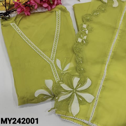CODE MY242001 : Light green organza semi stitched salwar material, v neck with foil& embroidery(thin fabric, lining needed)rich embroidery& cut work on daman, matching santoon bottom, organza dupatta with embroidery, lace work& cut work edges.